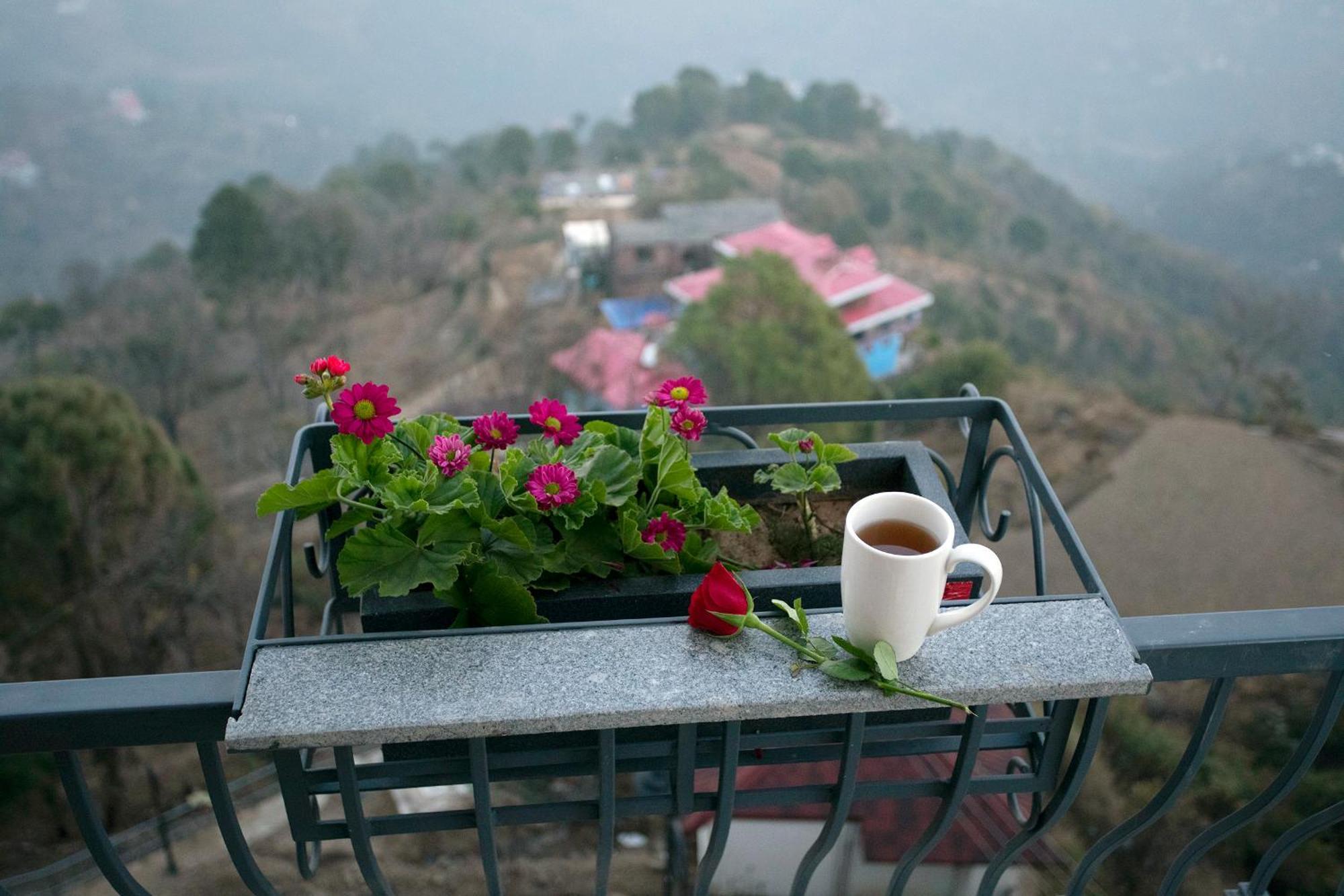 Astra Resort And Caffe Kasauli Exterior photo